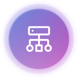Structured Data & Schema