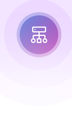 Structured Data & Schema